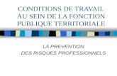 CONDITIONS DE TRAVAIL AU SEIN DE LA FONCTION PUBLIQUE TERRITORIALE LA PREVENTION DES RISQUES PROFESSIONNELS.