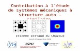 1 Contribution à l'étude de systèmes mécaniques à structure auto – similaire Etienne Bertaud du Chazaud Lundi 20 décembre 2004 PHASE.