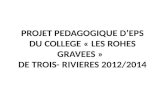 PROJET PEDAGOGIQUE DEPS DU COLLEGE « LES ROHES GRAVEES » DE TROIS- RIVIERES 2012/2014.