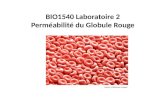 BIO1540 Laboratoire 2 Perméabilité du Globule Rouge Source: ©Wellcome Images.
