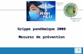 Grippe pandémique 2009 Mesures de prévention Hémagglutinine (16 types) Neuraminidase (9 types)