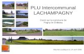 PLU Intercommunal LACHAMPAGNY Réunion publique du 14 avril 2006 Zoom sur la commune de Pagny-le-Château.