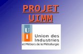 PROJETUIMM. Projet UIMM : Visite de l'entreprise TRIGANO de Tournon ( en Ardèche ) qui concentre ses activités autour des : Véhicules de loisir (84,5.