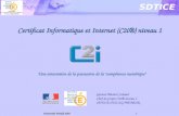Universités Vivaldi 2008 1 SDTICE Gérard-Michel Cochard Chef de projet C2i® niveau 1 SDTICE/STSI/SG/MENESR Certificat Informatique et Internet (C2i®) niveau.