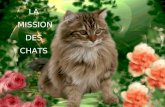 LA MISSION DES CHATS Savez-vous que les chats ont une mission dans notre vie?