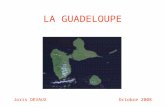 LA GUADELOUPE Joris DEVAUXOctobre 2008. PLAN INTRODUCTION 1) Présentation de la Guadeloupe A- Histoire B- Géographie C- Population D- Environnement E-