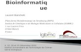 Laurent Bianchetti Plate-forme Bioinformatique de Strasbourg (BIPS) Institut de Génétique et de Biologie Moléculaire et Cellulaire (IGBMC) 1 rue Laurent.