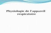 Physiologie de lappareil respiratoire. objectifs Connaitre la physiologie de l appareil respiratoire Connaitre la physiologie des échanges gazeux Connaitre.