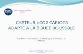 CAPTEUR pCO2 CARIOCA ADAPTE A LA BOUEE BOUSSOLE Laurence Beaumont, T. Danguy, J. Gironnet, B. Arnold. INSU - Division Technique Meudon Réunion BIOCAREX.