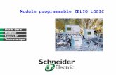 Module programmable ZELIO LOGIC. RAPPEL DES SOLUTIONS NANO et MICRO PLC 20 TSX Micro Zelio Logic 40 TWIDO Performances Nb E/S 250 37-21/22 37-05/08 37-10.