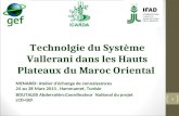 Technolgie du Système Vallerani dans les Hauts Plateaux du Maroc Oriental MENARID: Atelier d'échange de connaissances 24 au 28 Mars 2013, Hammamet, Tunisie.
