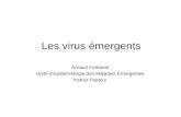 Les virus émergents Arnaud Fontanet Unité dEpidémiologie des Maladies Emergentes Institut Pasteur.