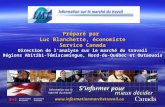 Préparé par Luc Blanchette, économiste Service Canada Direction de lanalyse sur le marché du travail Régions Abitibi-Témiscamingue, Nord-du-Québec et Outaouais.