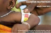 CLUSTER NUTRITION Jeudi 2 Mai 2013 M. Bakary Koné, Gestionnaire des données Nutrition, DNS/DN Anne-Céline Delinger, Gestionnaire de lInformation.