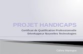 Certificat de Qualification Professionnelle Développeur Nouvelles Technologies Céline Maringue.