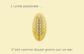 Epis Lunité pastorale … Cest comme douze grains sur un épi.