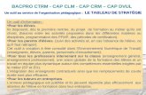 BACPRO CTRM - CAP CLM - CAP CRM – CAP DVUL Un outil au service de l'organisation pédagogique : LE TABLEAU DE STRATÉGIE Un outil d'information : Pour les.
