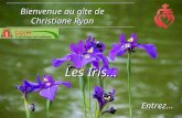Bienvenue au gîte de Christiane Ryan Les Iris Entrez