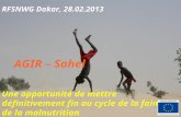 RFSNWG Dakar, 28.02.2013 AGIR – Sahel Une opportunité de mettre définitivement fin au cycle de la faim et de la malnutrition Jan Eijkenaar, DG ECHO, RSO.