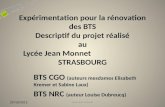 Expérimentation pour la rénovation des BTS Descriptif du projet réalisé au Lycée Jean Monnet STRASBOURG BTS CGO (auteurs mesdames Elisabeth Kremer et Sabine.