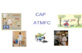 CAP ATMFC. ATMFC Un employeur avec ses habitudes ses exigences ses réglementations Un cadre de travailDes produits Du matériel Un temps donné CAPACITE.
