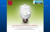 Initiative déconomie dénergie du secteur des IRLM : Programme de remplacement des ampoules à incandescence par des LFC Le jeudi 5 juin 2008 Rencontre.