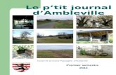 Premier semestre 2011 Le ptit journal dAmbleville Extrait de la Charte Paysag¨re dAmbleville