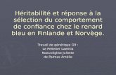 Héritabilité et réponse à la sélection du comportement de confiance chez le renard bleu en Finlande et Norvège. Travail de génétique G9 : Le Pelletier.