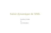 Saisie dynamique de XML Geoffroy Vallée et Ani Sedrakian.