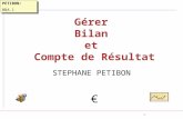 1 Gérer Bilan et Compte de Résultat STEPHANE PETIBON PETIBON: BBA.1 PETIBON: BBA.1.