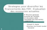 1 Strategies pour diversifier les financements des FER : Evaluation des ressources actuelles Joseph O. Haule Directeur du Fonds routier Tanzanie 8 e Réunion.
