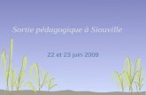 Sortie pédagogique à Siouville 22 et 23 juin 2009.