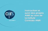 Instruction et suivi des projets ANR au sein de la Cellule Contrats ANR.