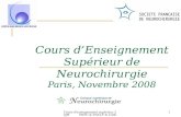 Cours d'enseignement supérieur 2008 SNFC & SNCLF & Collège1 Cours dEnseignement Supérieur de Neurochirurgie Paris, Novembre 2008.