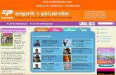 Www.espritdepicardie.com Analyse de laudience – Janvier 2011.