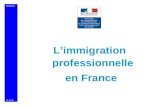 MIIINDS Limmigration professionnelle en France 25.11.08.