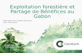 Forest Code in Gabon Presentation de: Eugenio Sartoretto Date: 29/11/2012 Changer la loi. Transformer la planète. Exploitation forestière et Partage de.