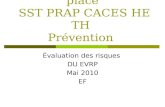 Réflexions mise en place SST PRAP CACES HE TH Prévention Évaluation des risques DU EVRP Mai 2010 EF.