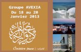 Groupe AVEXIA Du 18 au 20 Janvier 2013. Arrivée à laéroport de Tunis Carthage et accueil par notre équipe Croisière Jaune Transfert du groupe en direction.
