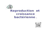 Reproduction et croissance bactérienne.. Eléments favorables à la reproduction bactérienne Lire le document ci- contre et citer les éléments favorables.