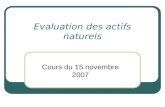 Evaluation des actifs naturels Cours du 15 novembre 2007.