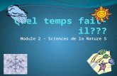 Module 2 – Sciences de la Nature 5. L ' influence du temps qu ' il fait Pouvez vous décrire comment les conditions météorologiques influencent les activités.