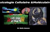 Toxicologie Cellulaire &Mol©culaire Dr Wafa Hassen