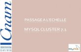 MySQL Cluster Cette pr©sentation illustre la solution open source MySQL Cluster 7.1. Larchitecture MySQL Cluster 7.1 permet de r©pondre aux besoins suivants