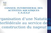 CONSEIL INTERFEDERAL DES ACTIVITES AQUATIQUES C.N.O.S.F. Organisation dune Natation Interfédérale au service de la construction du nageur.