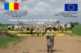MERA Projet dAppui à la Filière Bovine UE - FED Projet d'Appui à la Filière Bovine PAFIB Identification de sites de points deau Ndjamena, le 29 juillet.