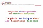 _____________________________ Ladaptation des enseignements aux besoins des entreprises Langlais technique dans les formations Télécoms.