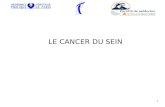 LE CANCER DU SEIN 1. Cest le plus fréquent des cancers chez la femme. Il concerne 45 000 nouveaux cas par an en France et 10 000 décès environ. A titre.