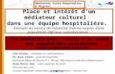 Place et intérêt dun médiateur culturel dans une équipe hospitalière. Exemple du service de médecine Interne auprès dune population dAfrique subsaharienne.