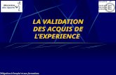 LA VALIDATION DES ACQUIS DE LEXPERIENCE Délégation à lemploi et aux formations.